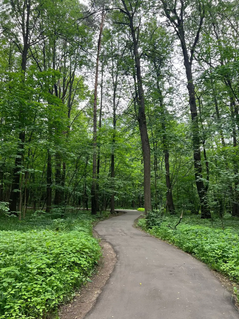 ЛАЙТОВАЯ девчачья веловстреча