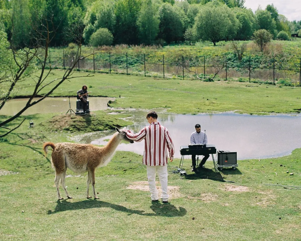 EP «Summer Live Session»