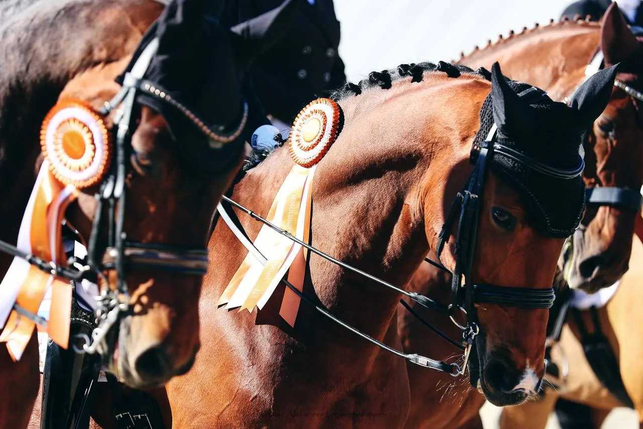 Всероссийский турнир по выездке «Кубок Губернатора Нижегородской области» и Этап Кубка России