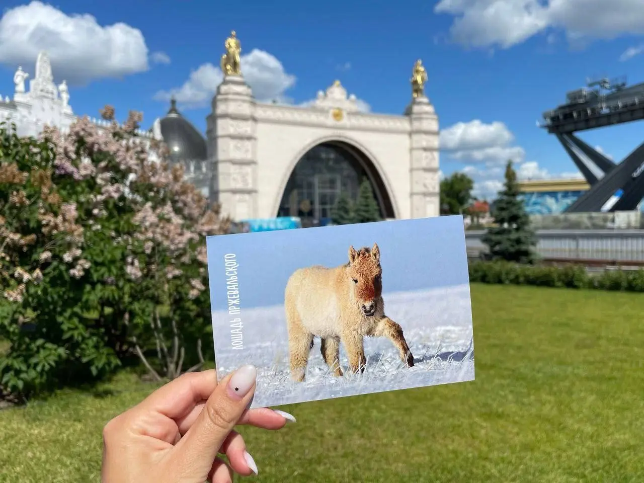 V Международный туристический форум «Путешествуй!»