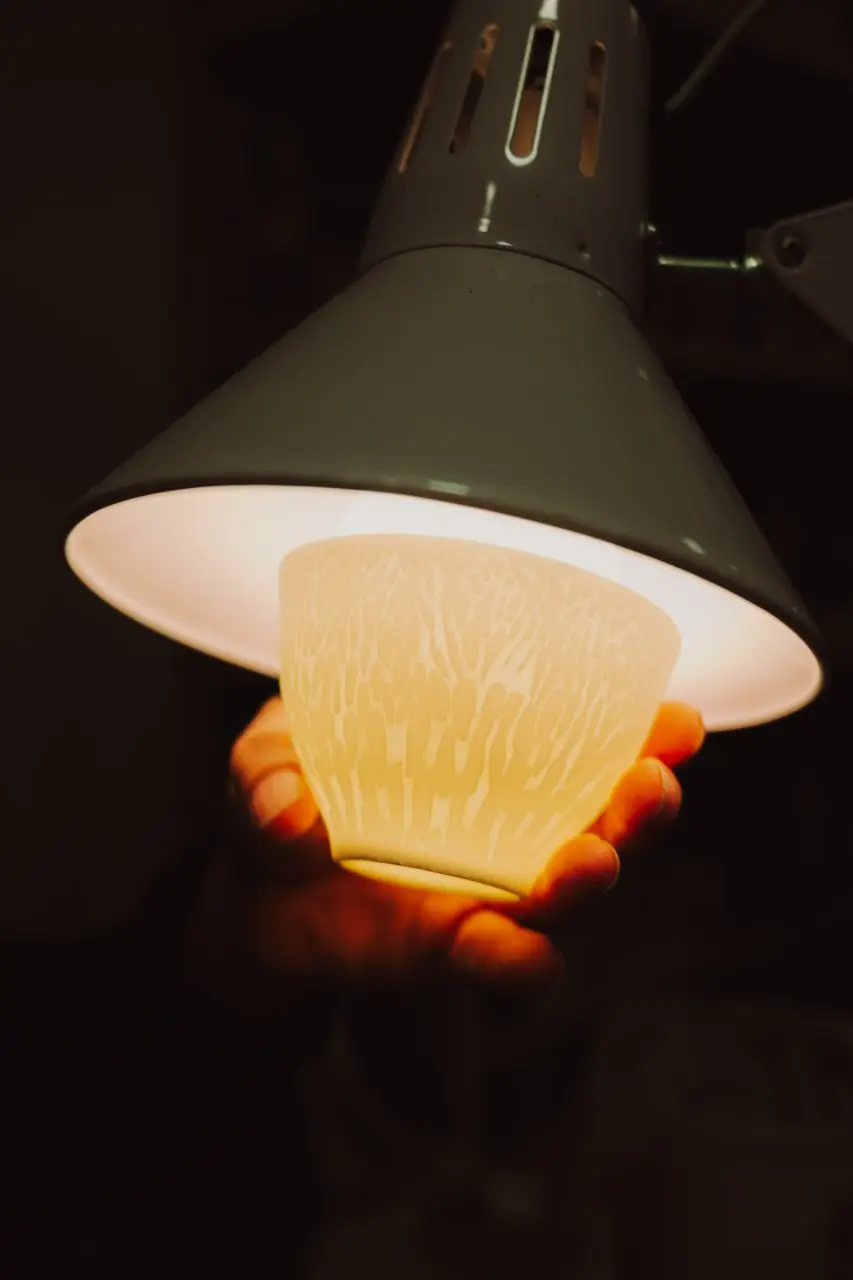 Лаборатория Антихрупкости в Дулёво