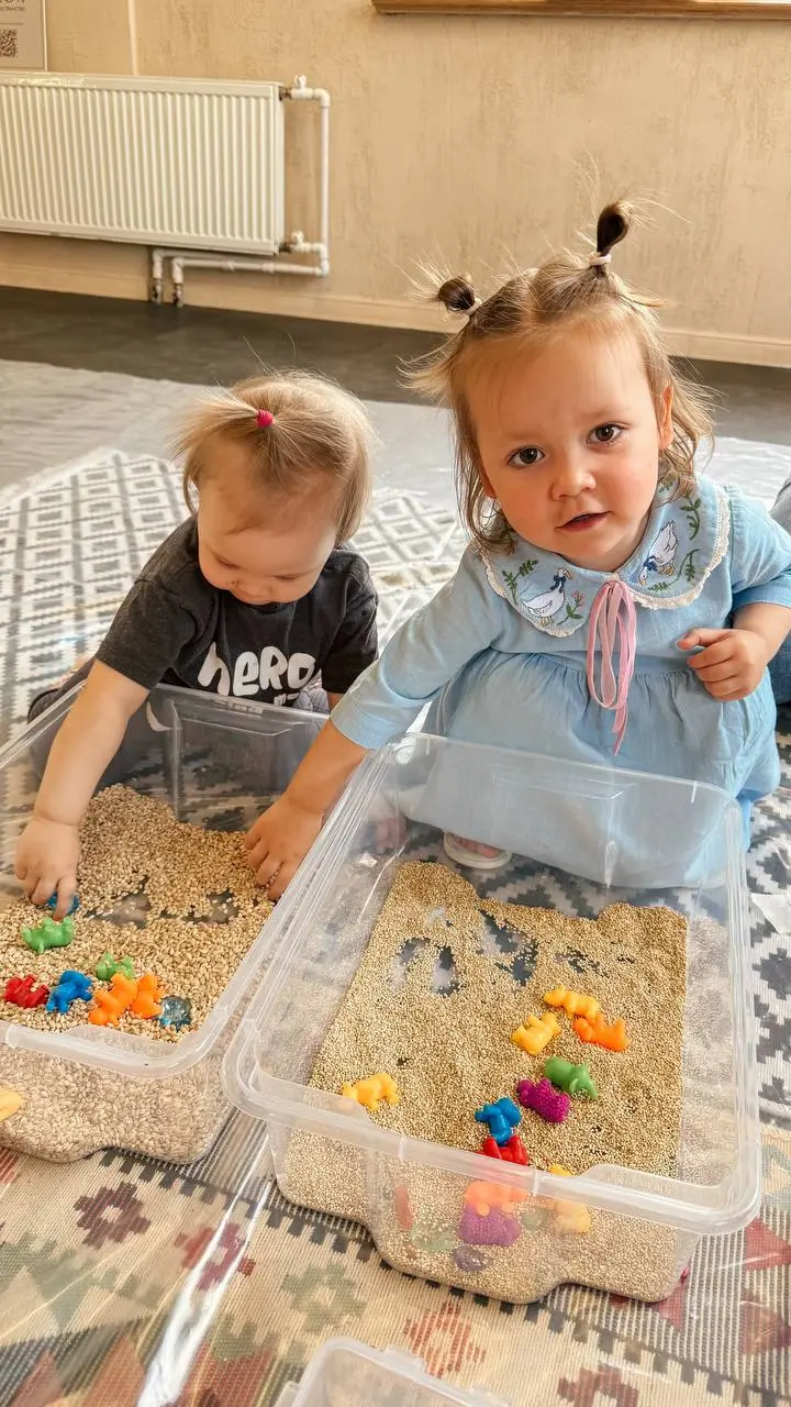 СЕНСОРНОЕ РАЗВИТИЕ