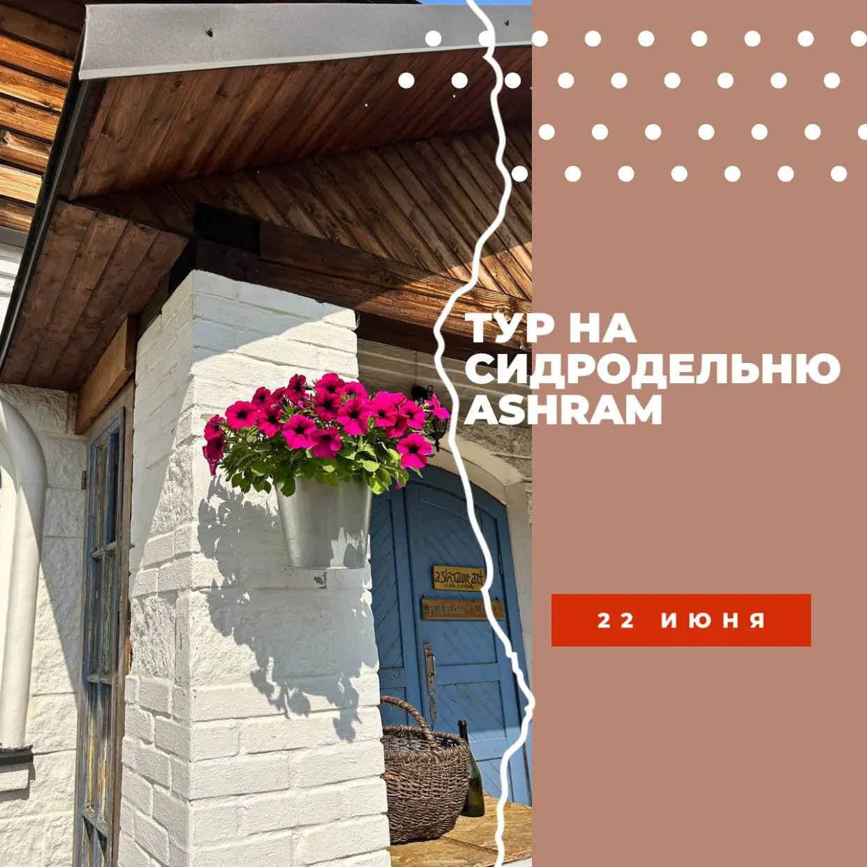 Туры и дегустации