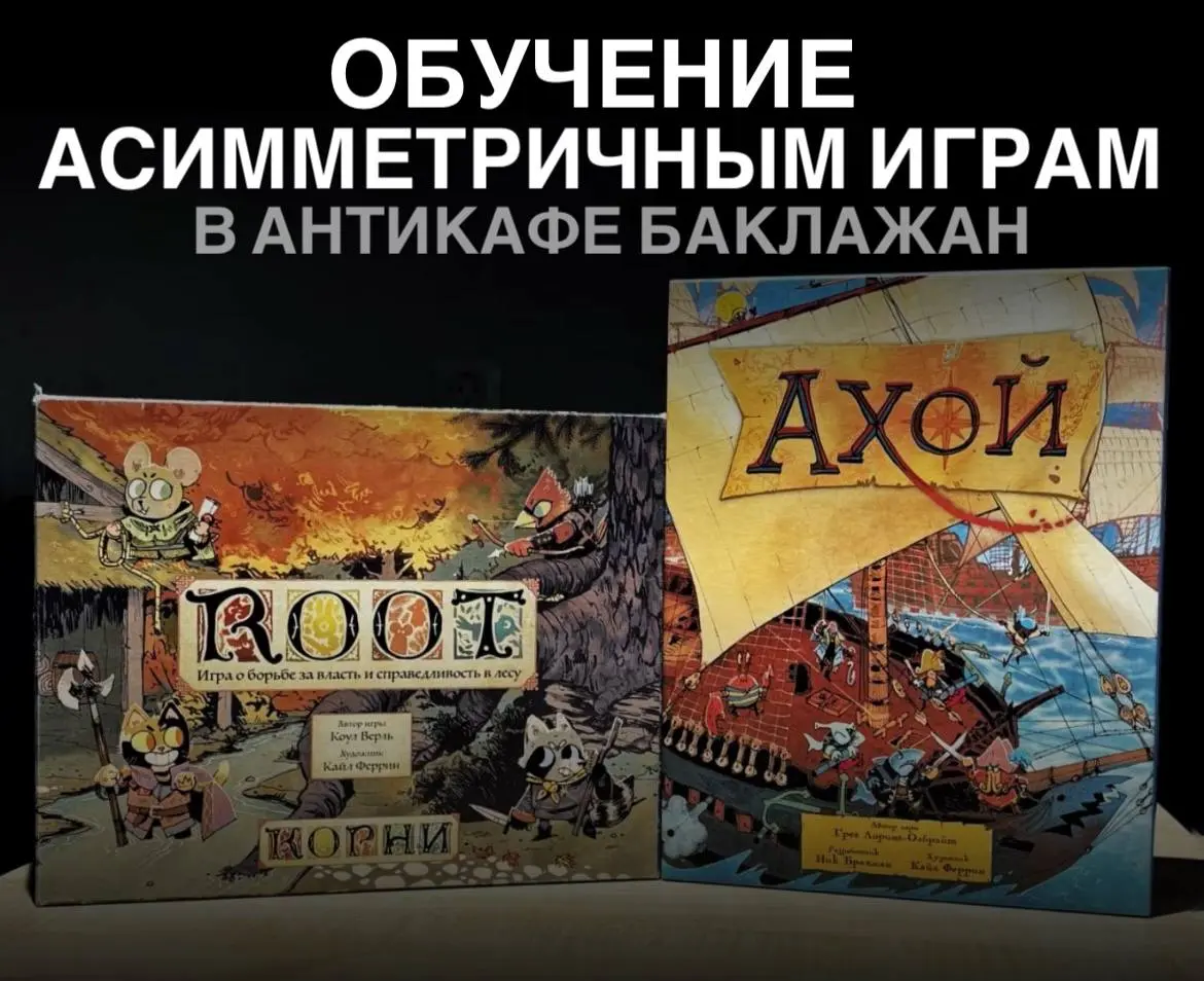 Обучение асимметричным играм