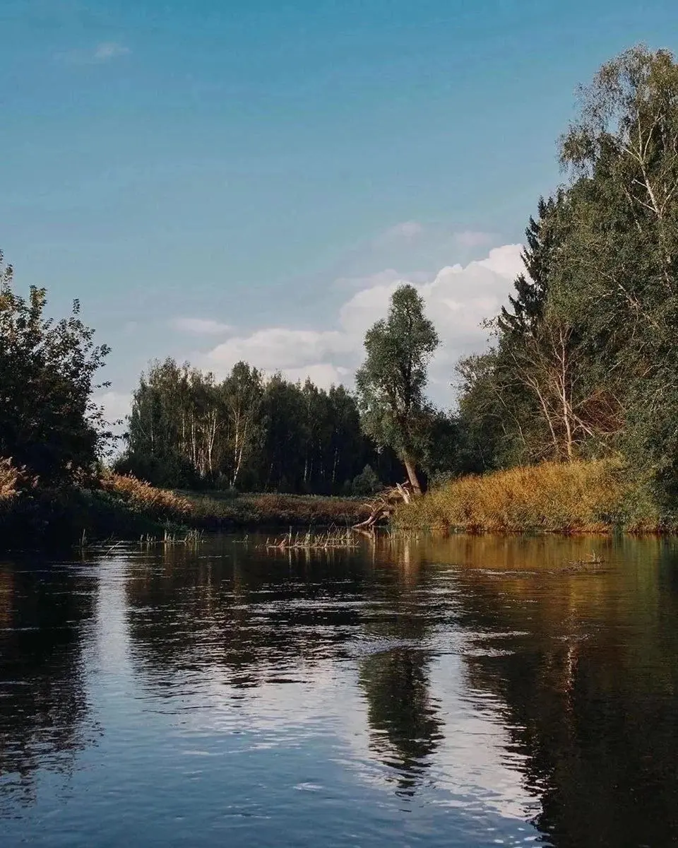 Однодневный сплав на байдарках по реке Дубна