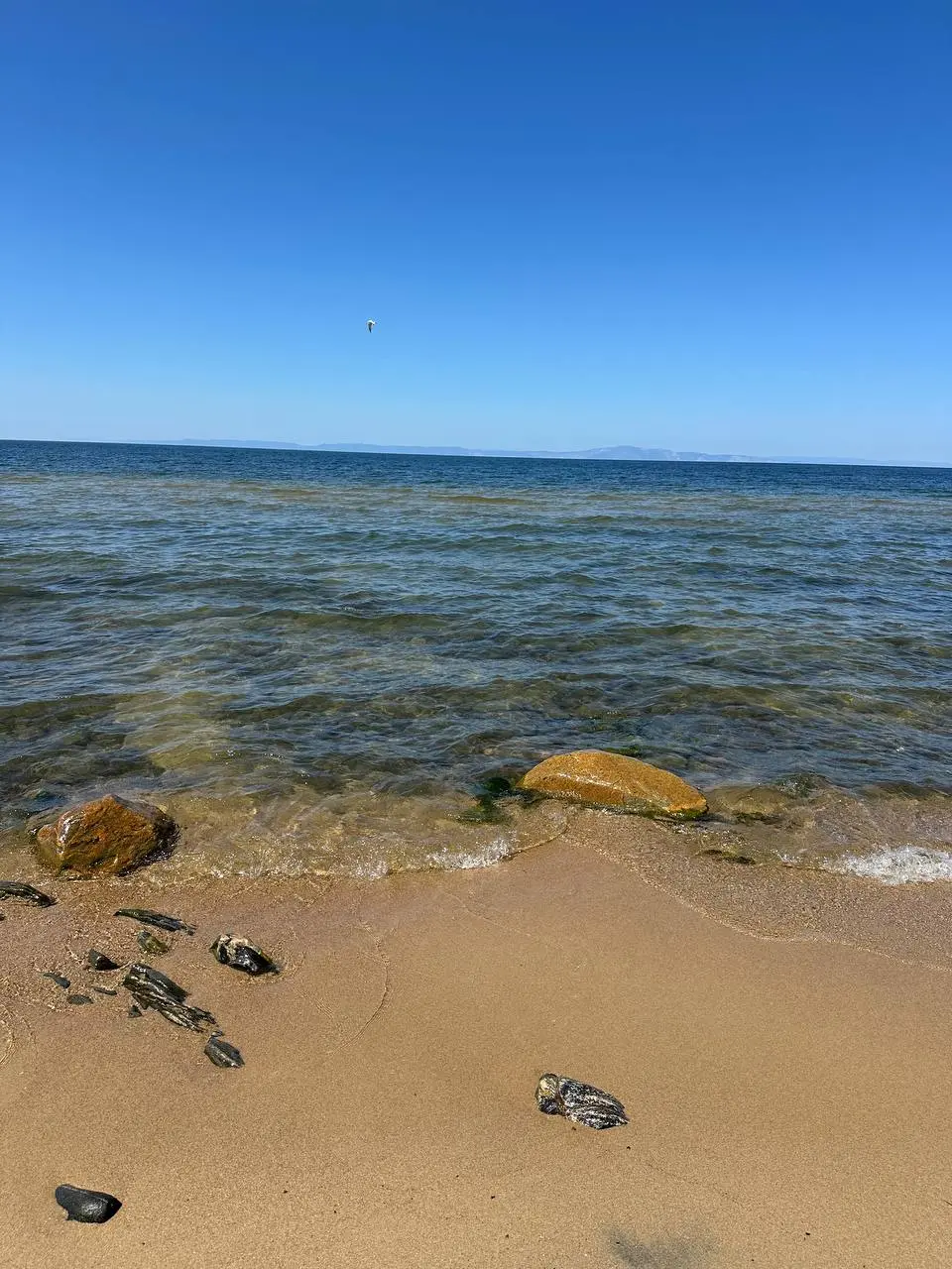 Байкальская перезагрузка