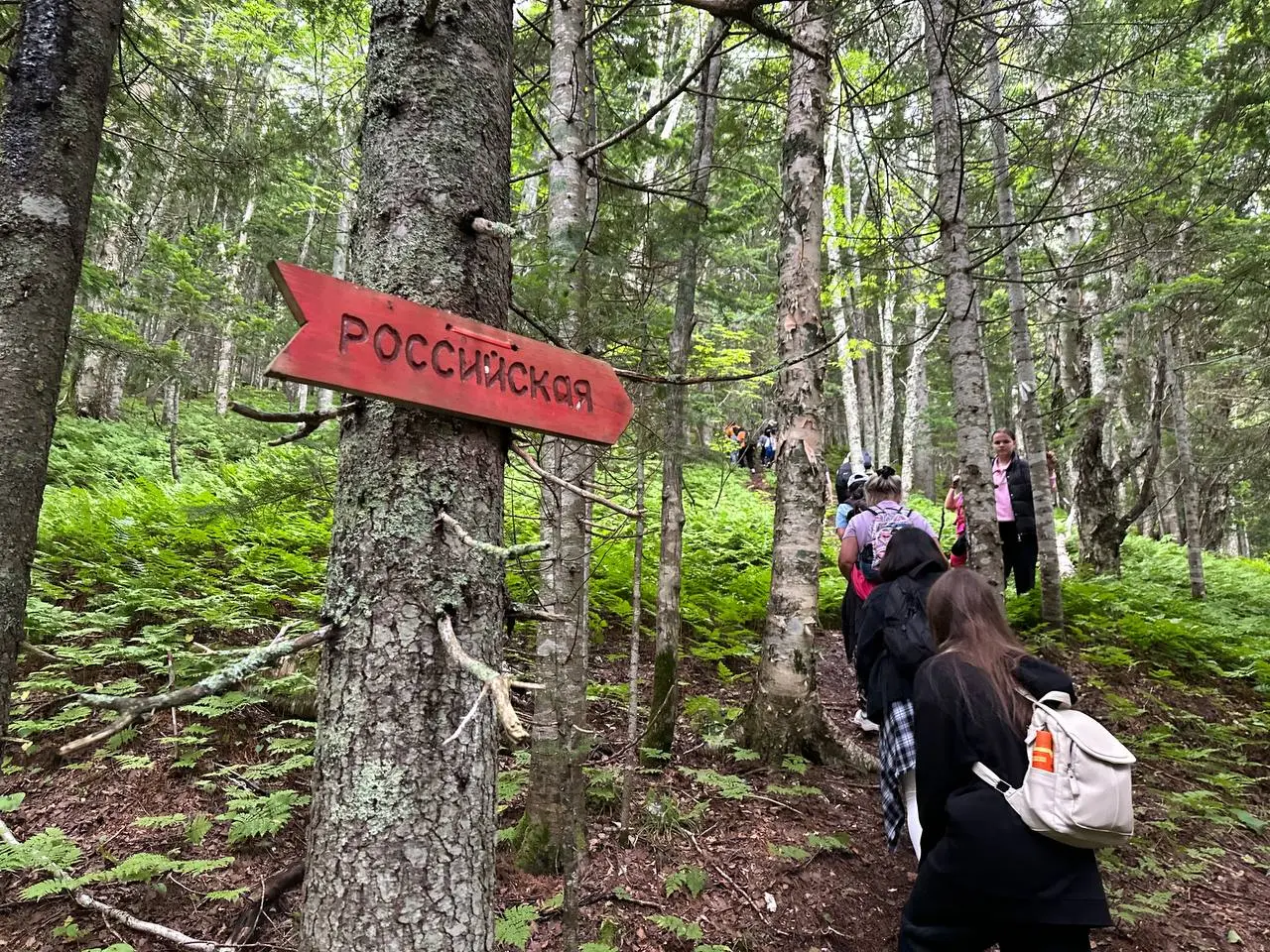 Восхождение на гору Российская в День России🇷🇺