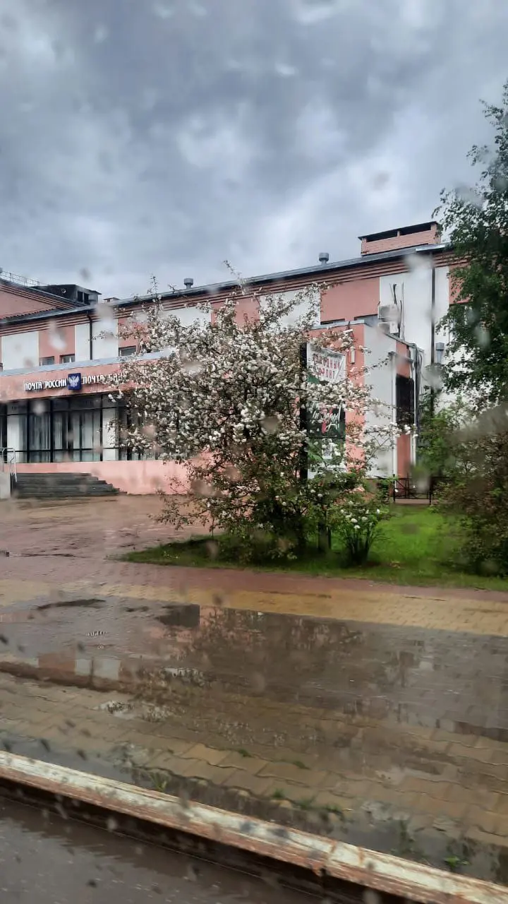 Очное событие "НейроСвадьба"