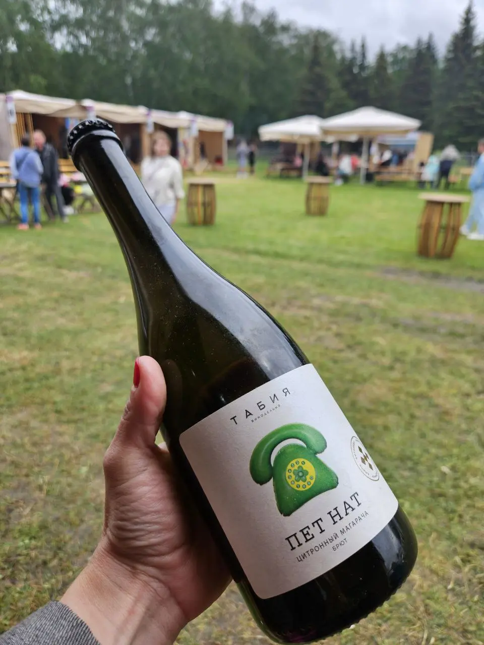 День на фестивале Виноград