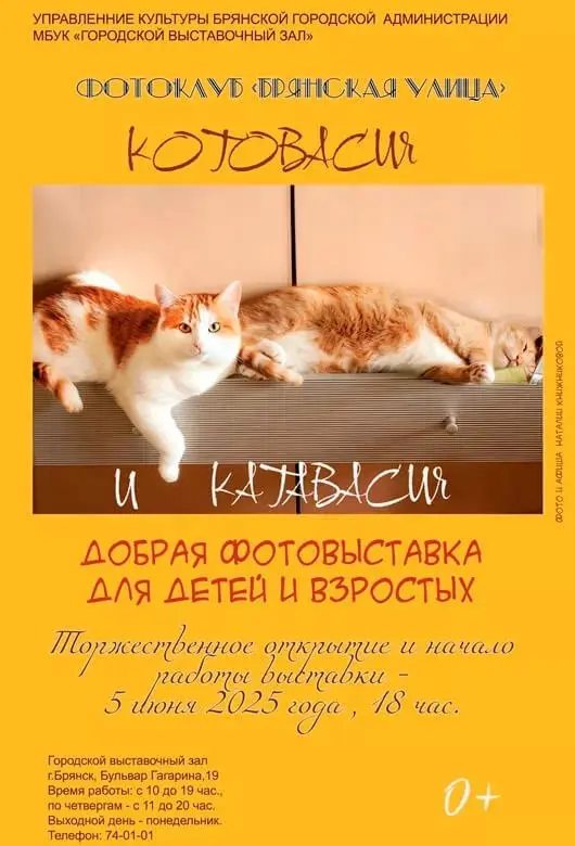 Котовасия и катавасия
