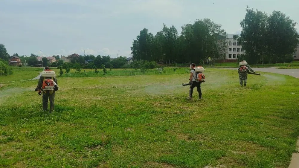 Второй этап обработки от клещей в Кирове