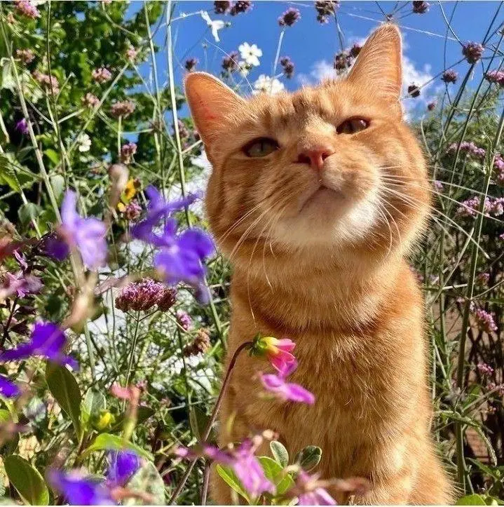 Празднование Дня России в Нефтеюганске