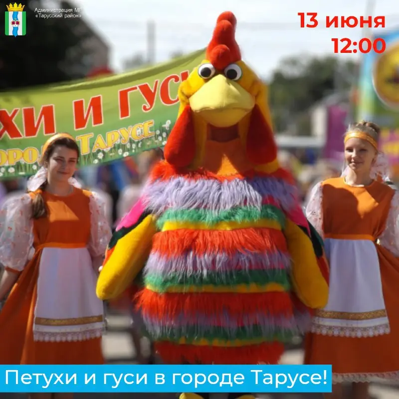 XV фестиваль «Петухи и Гуси»