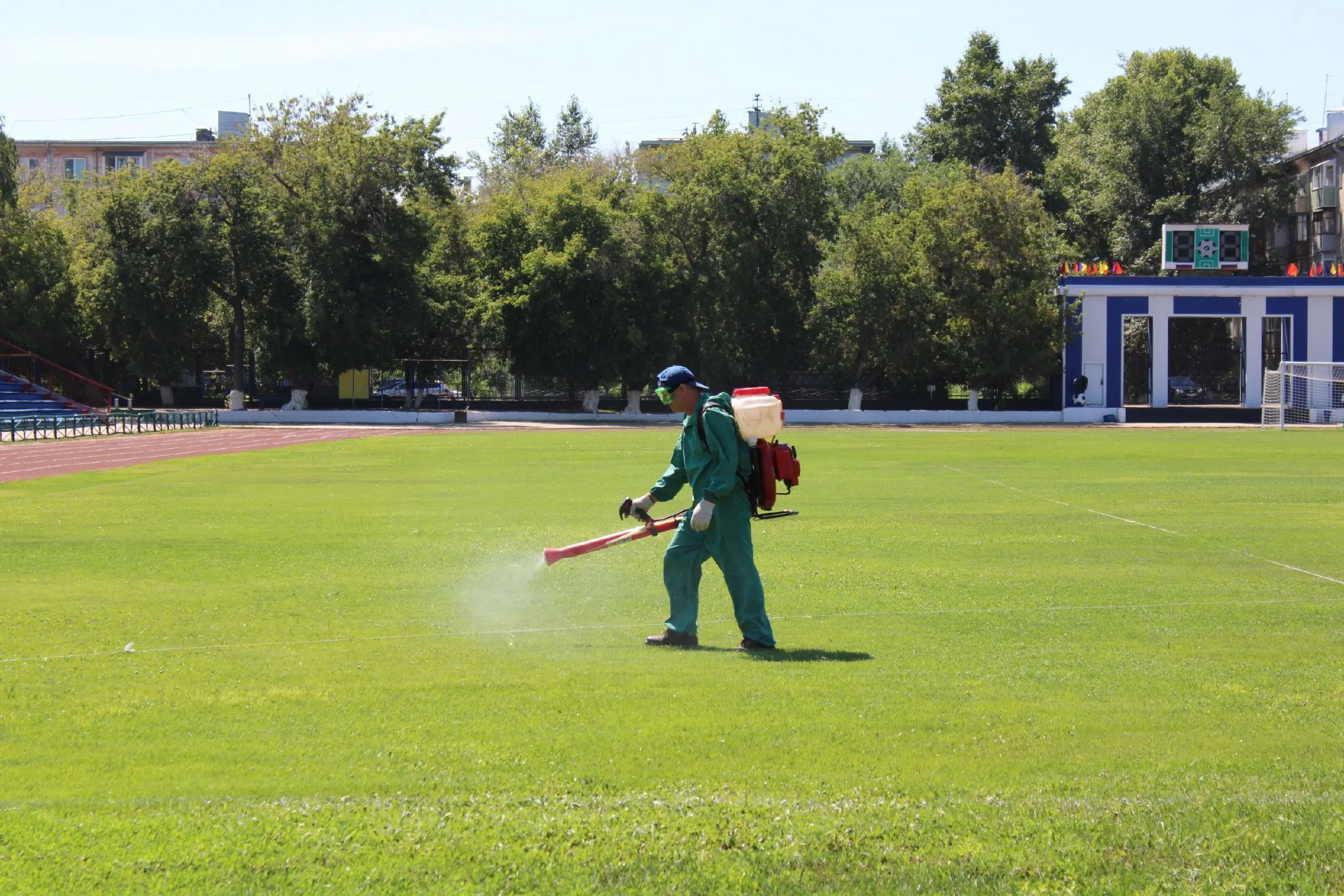 День борьбы с насекомыми в Рубцовске