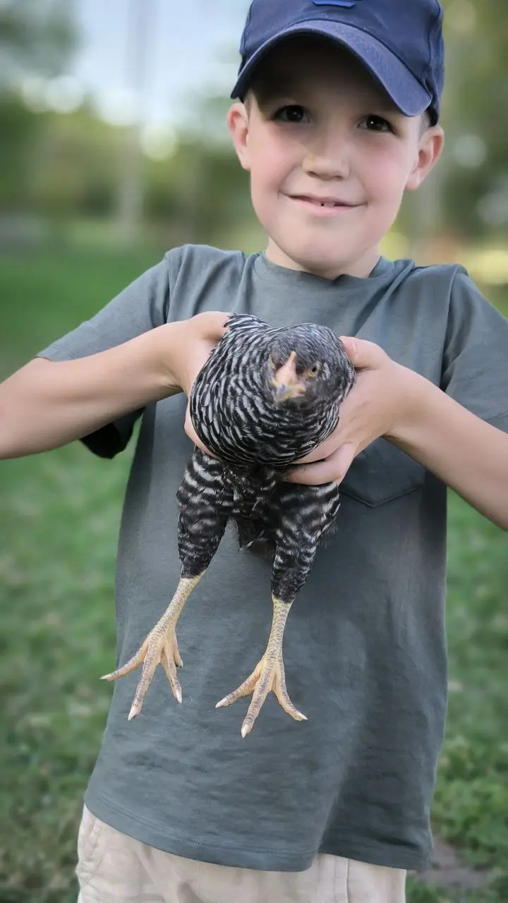 Мужское воспитание для ПОДРОСТКОВ 14-15 июня