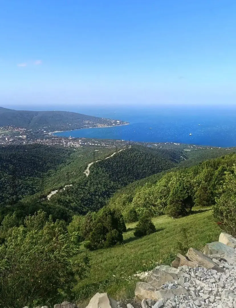 Рука Свободы