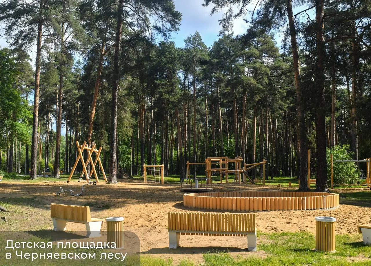 Уличная библиотека и детская площадка в Черняевском лесу, тестирование и получение сертификатов