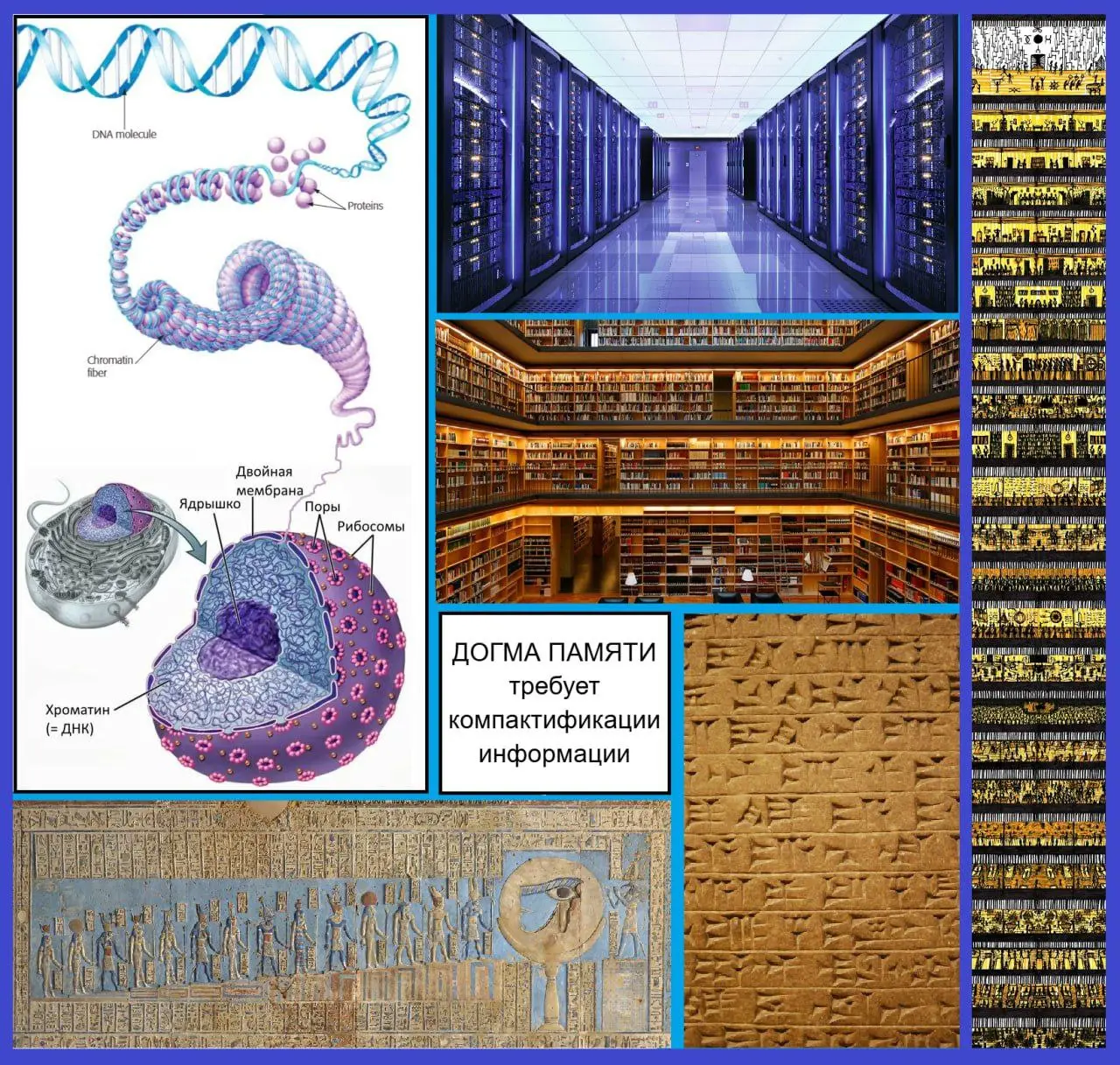 Лекции о Биоэтике будущего и экономике с Джеффри Саксом