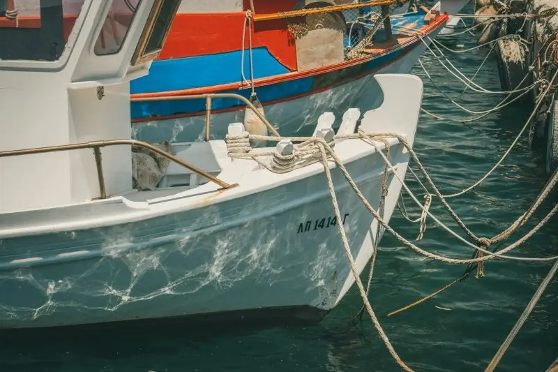 Парад яхт с триколорами на Иртыше в День России