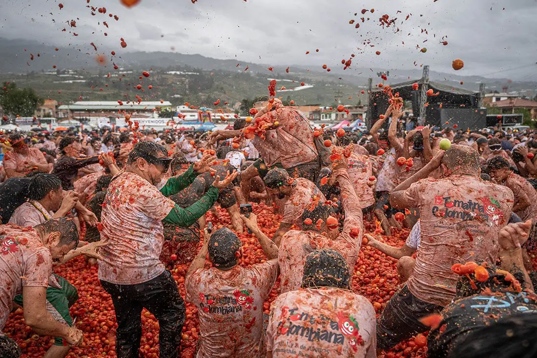 Томатная битва