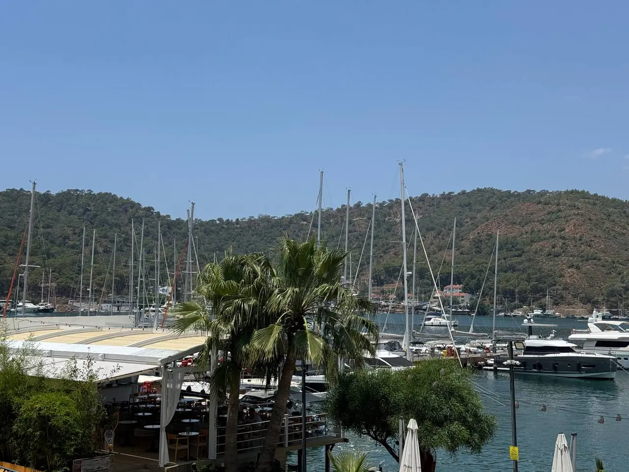 усые сидим учимся на берегу