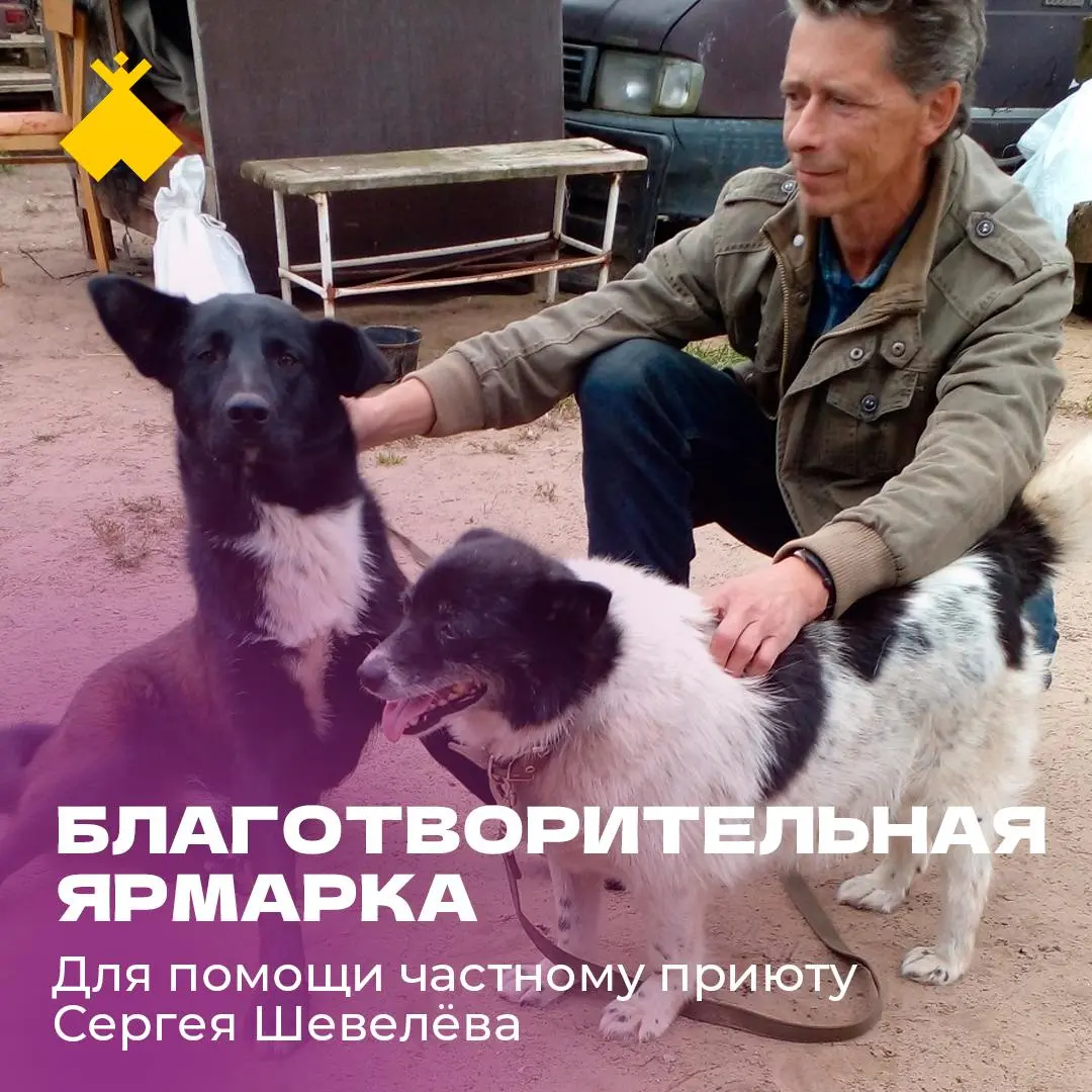Благотворительная ярмарка для помощи частному приюту Сергея Шевелёва