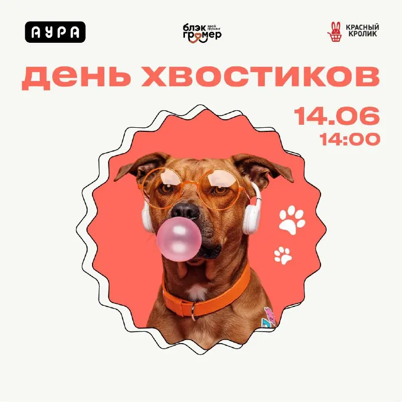 День хвостиков в Ауре