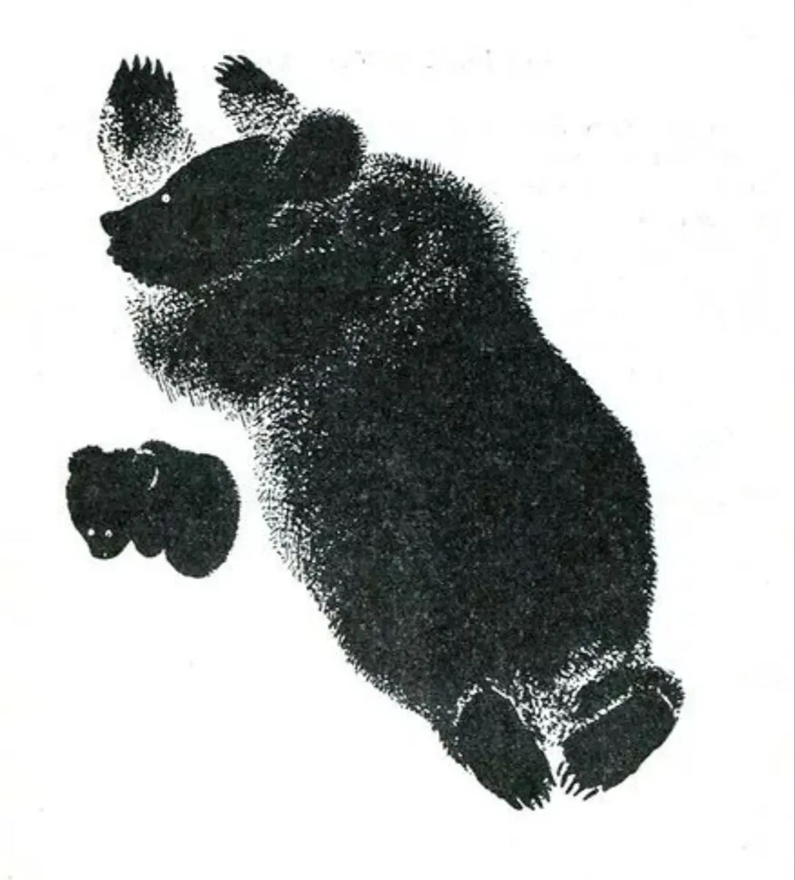 Очень интересное занятие по графике