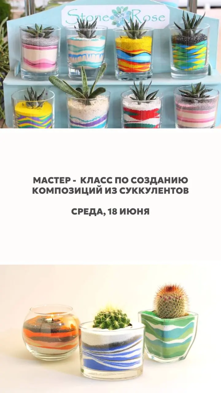 мастер-класс по созданию композиций из суккулентов