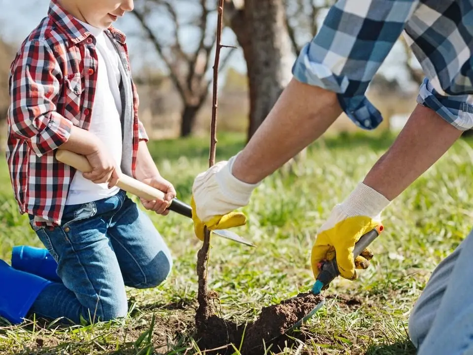 Обновление сквера перед ДК «Саввино» в Балашихе 2025