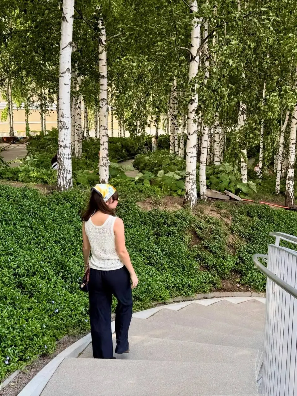 Сказочная берёзовая роща в Москве