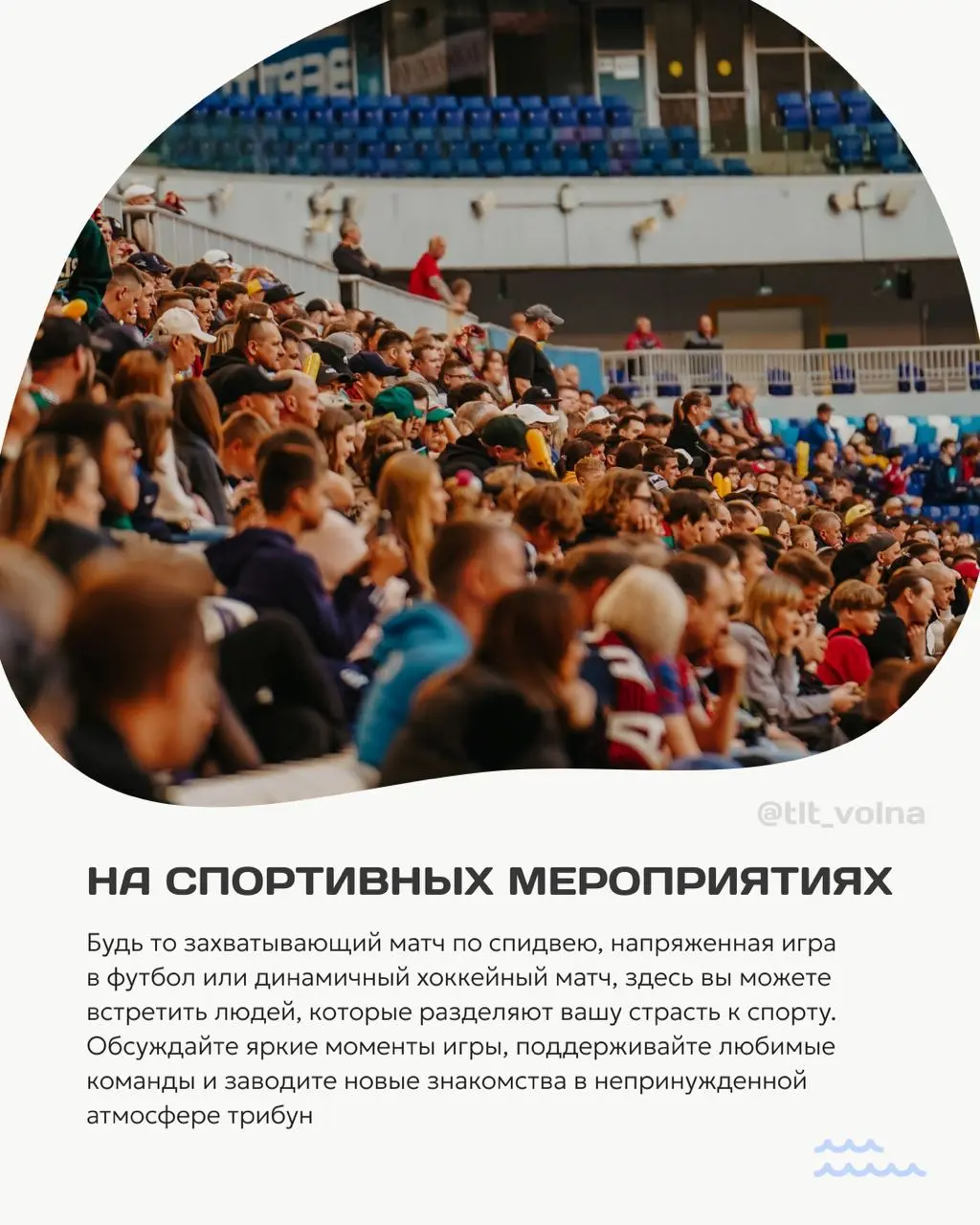 Дегустации вин и неформальное общение с единомышленниками