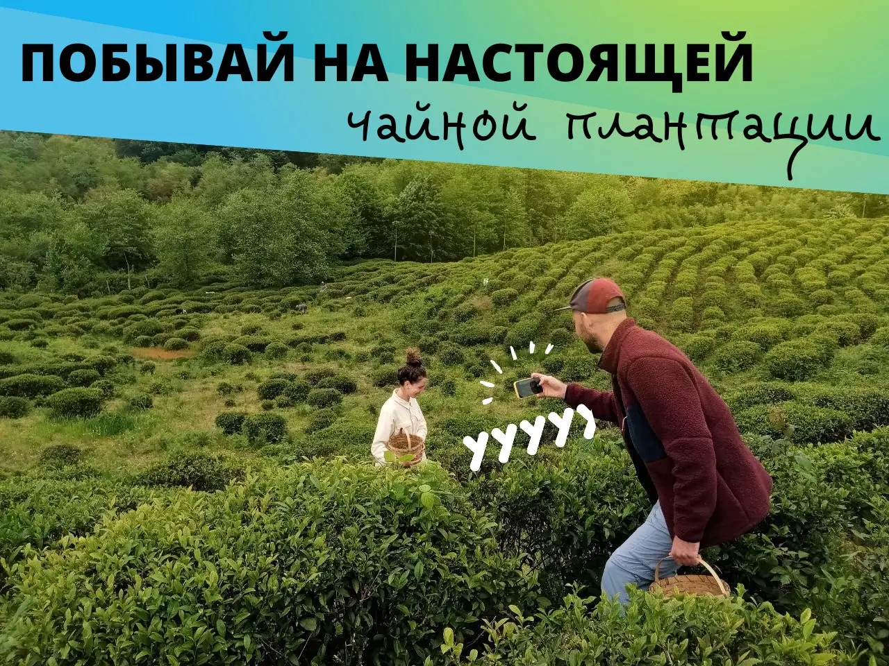 Чайный тур Taste of Guria