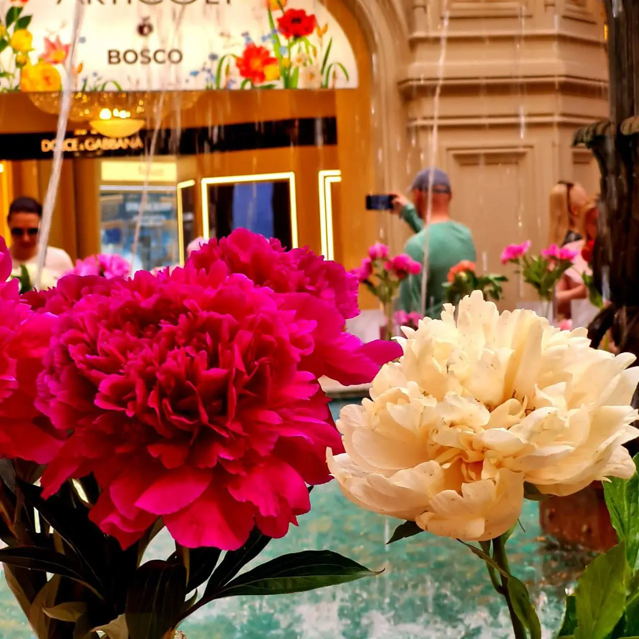 Самая яркая выставка сезона "Пионы России"