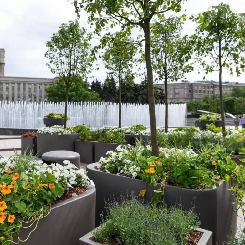 Сад-трансформер на Московской площади в Петербурге