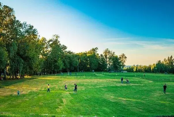 Сходка в парке Горького, Казань