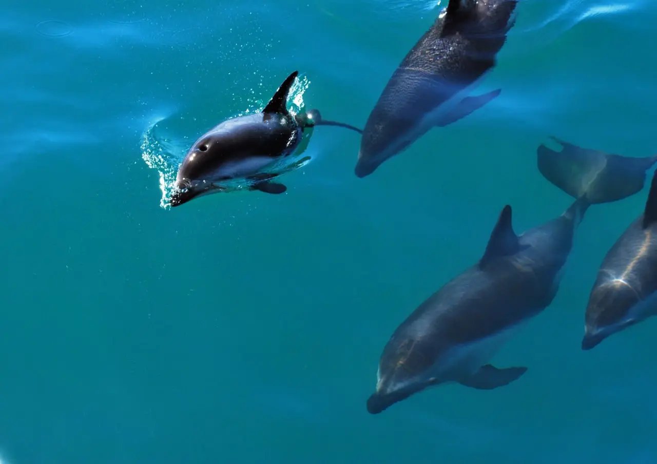 НАБОР в ГРУППОВЫЕ ТУРЫ с Around Indonesia