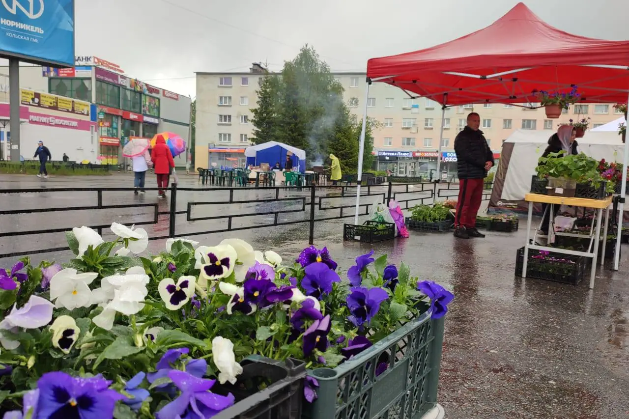 Мончегорск отмечает День Росси: на центральной площади поют гимн нашей страны!