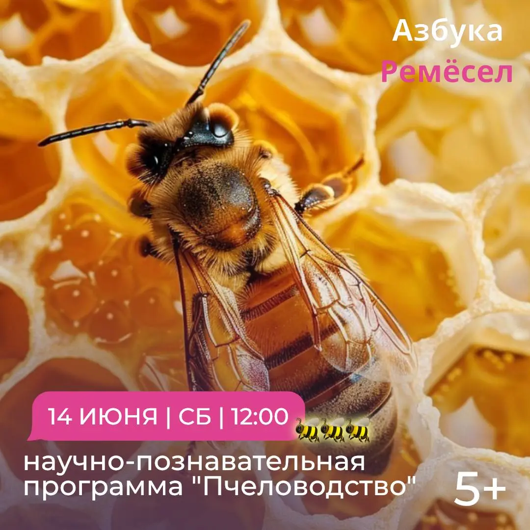 Научно-познавательная программа "Пчеловодство"