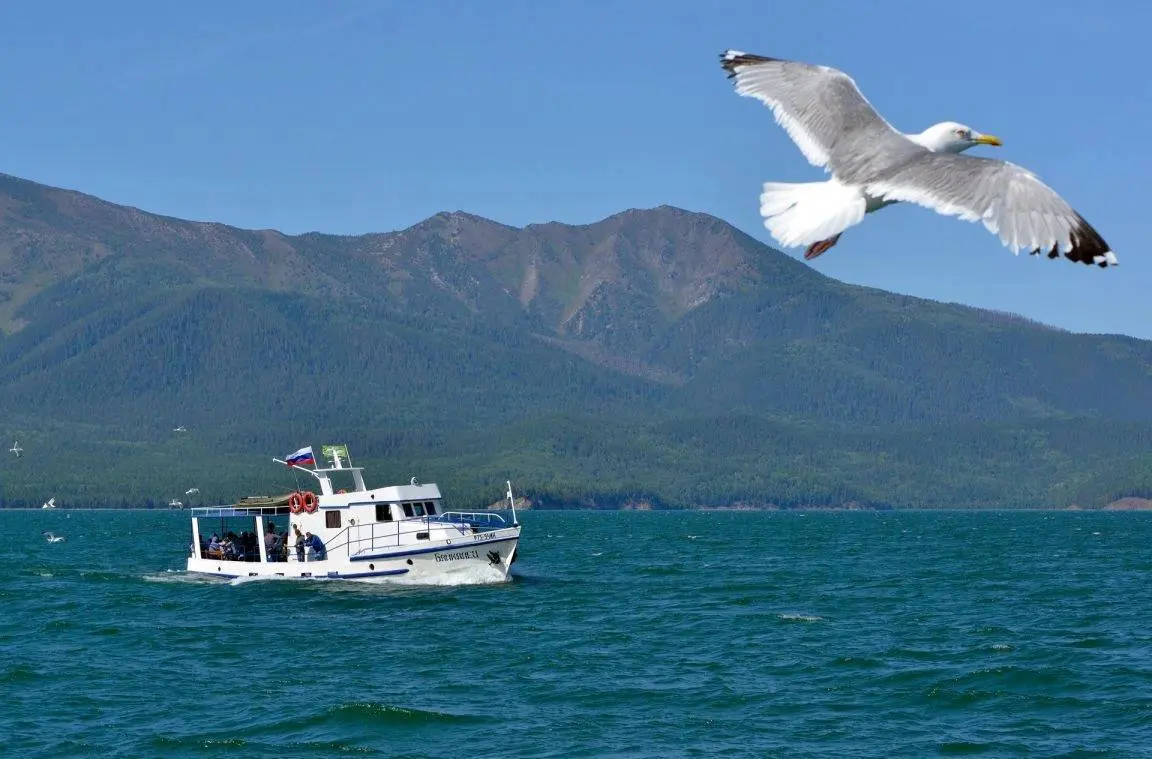 Однодневный тур на Чивыркуйский залив