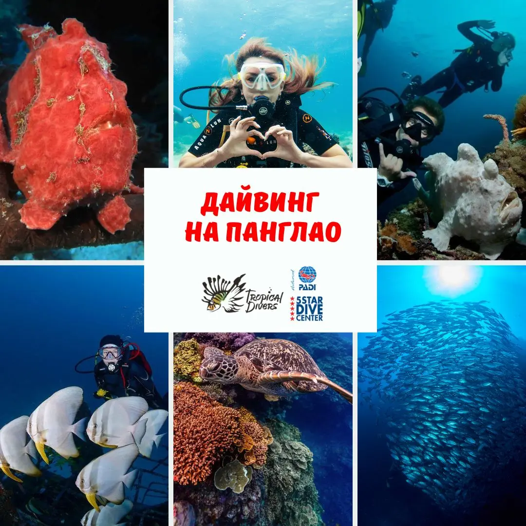 ДАЙВИНГ НА ПАНГЛАО
