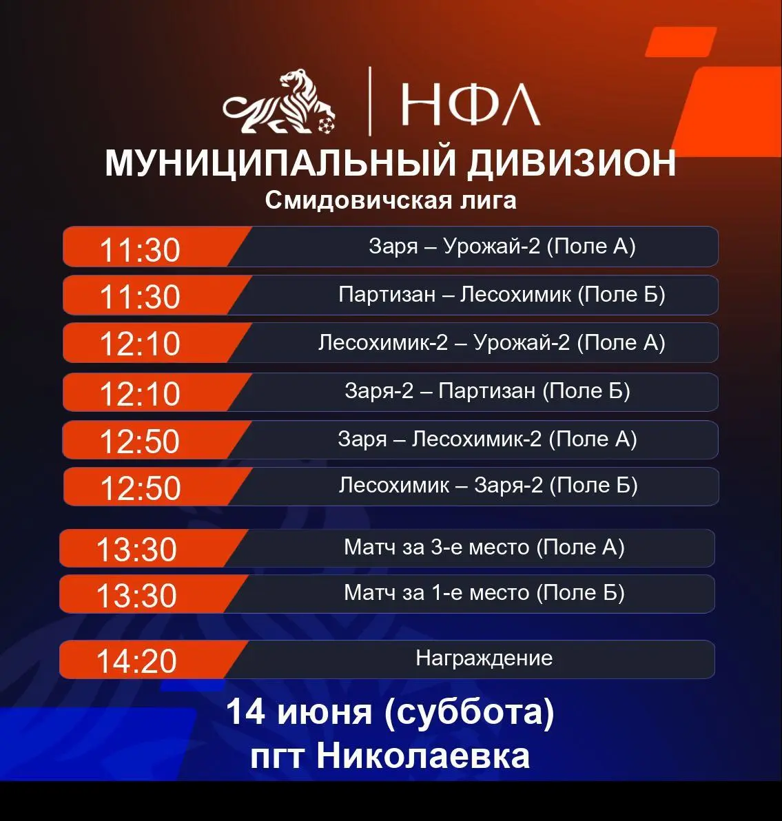 Неформальная футбольная лига - 2025, Смидовичская лига