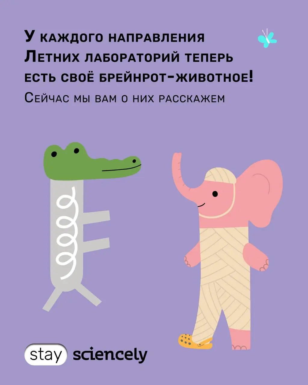 Проведение Летних городских лабораторий и конкурса по созданию лабораторного зверя