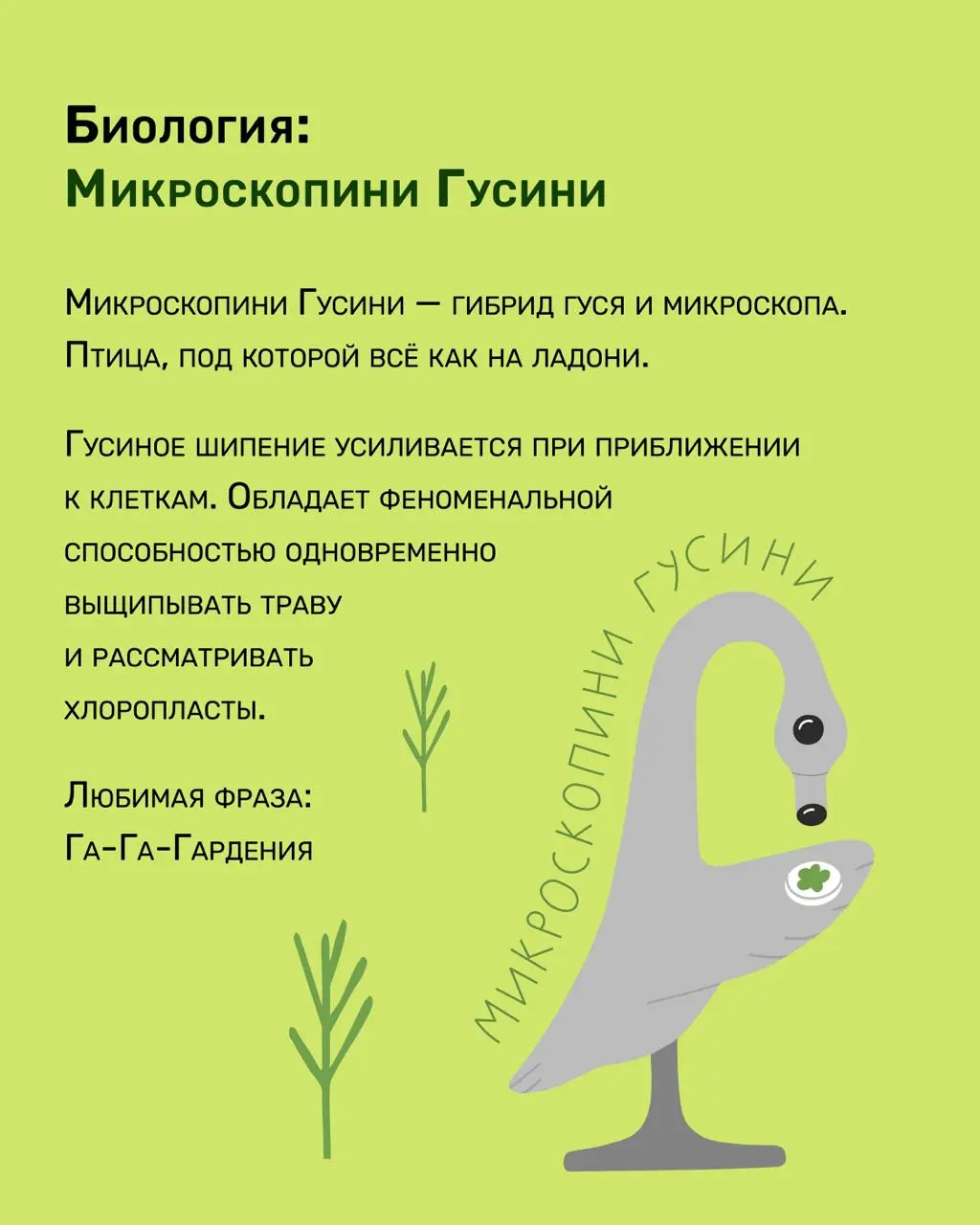 Проведение Летних городских лабораторий и конкурса по созданию лабораторного зверя