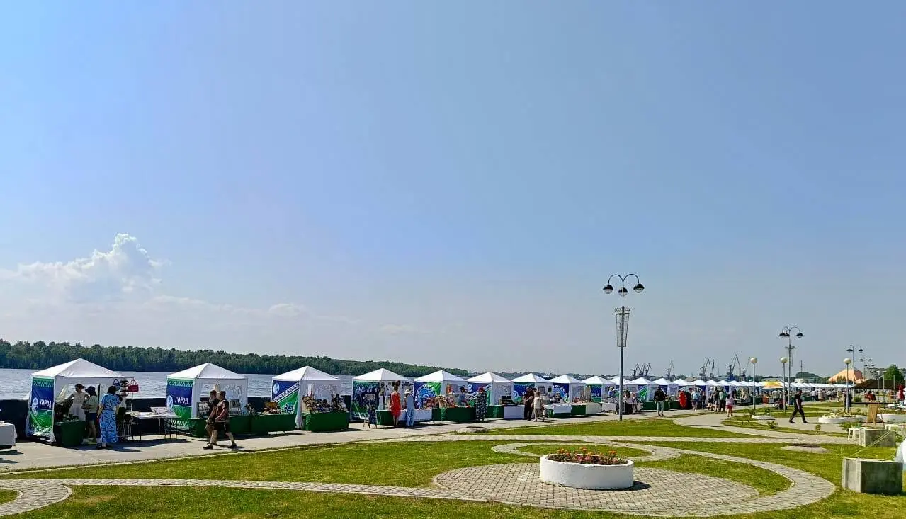 самотлорские ночи