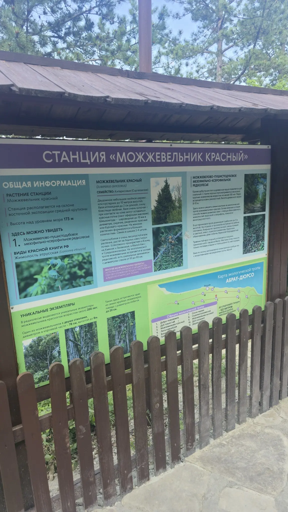 Экотропа Абрау-Дюрсо — где природа становится искусством