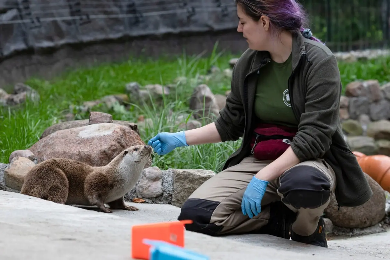 Выходные в зоопарке