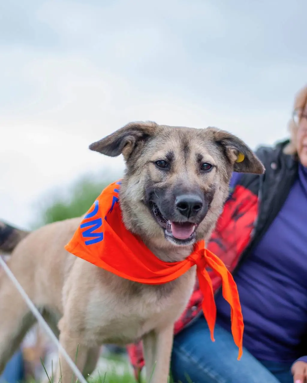 Фестиваль «Зоофрендли»