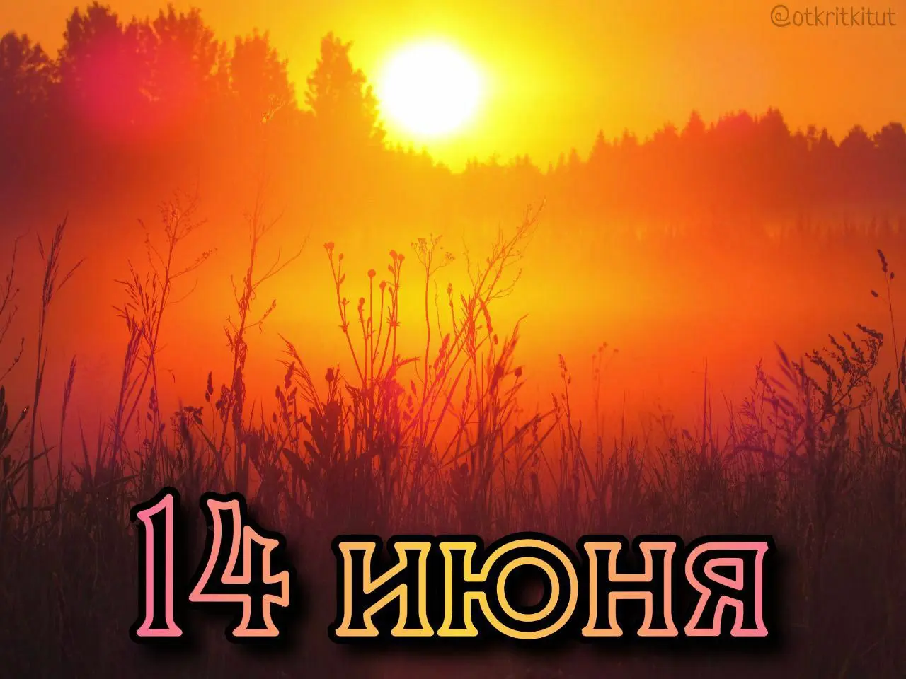 Праздники 14 июня 🎈