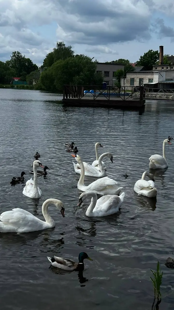 travel девичник по Псковской области